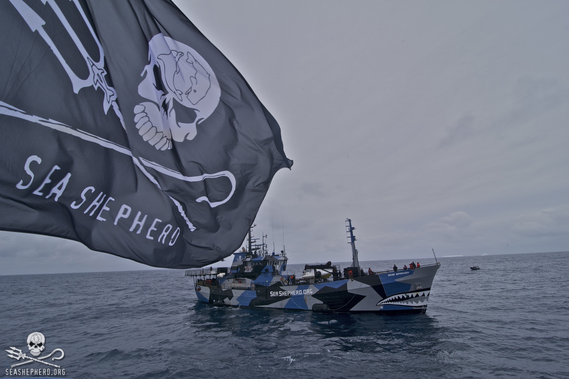 Sea Shepherd Adds New Ship to Operation Milagro - The Scuba News